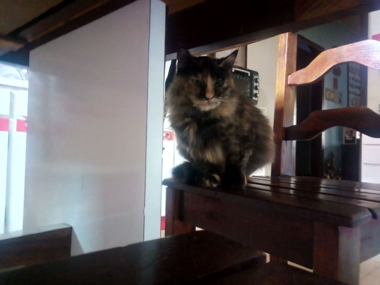 《Dota 2荣耀巡演,冠军角逐赛场火爆》,dota2冠军奖杯