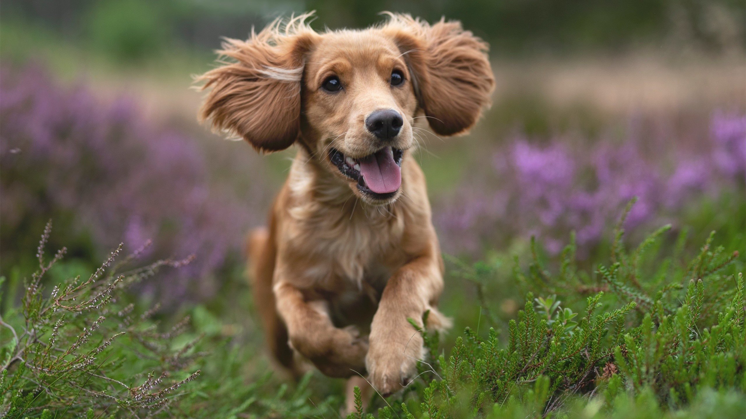 《电竞场馆设计理念：科技与艺术的完美结合》，电竞场馆建设标准全文