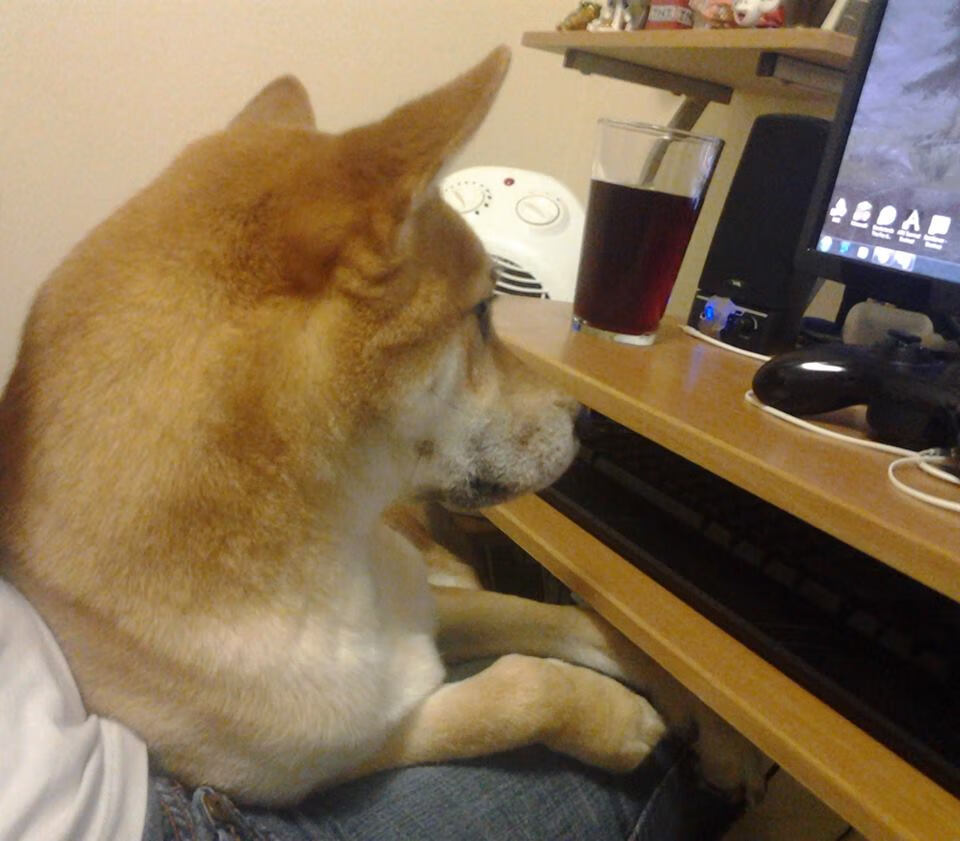 亚运赛艇首金出炉，中国队包揽前三，亚运赛艇首金出炉,中国队包揽前三名球员